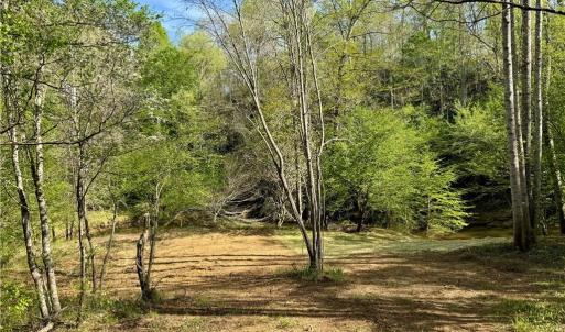 Photo #8 of Otis Woods, Danbury, NC 128.9 acres