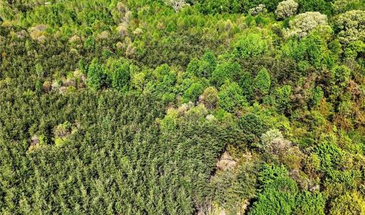 Photo #4 of 2106 School, Winston-Salem, NC 17.9 acres