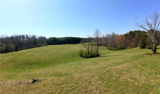 Photo #6 of 1019-11 George, Westfield, NC 12.9 acres