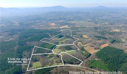 Photo #12 of 1019-11 George, Westfield, NC 12.9 acres