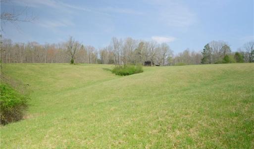 Photo #5 of 1019-11 George, Westfield, NC 12.9 acres