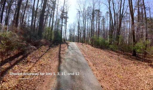 Photo #15 of 1019-11 George, Westfield, NC 12.9 acres