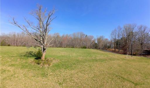 Photo #12 of 1019-12 George, Westfield, NC 10.9 acres