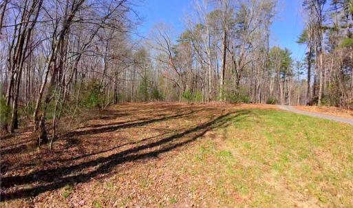Photo #10 of 1019-12 George, Westfield, NC 10.9 acres