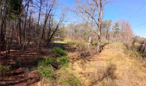 Photo #14 of 1019-12 George, Westfield, NC 10.9 acres