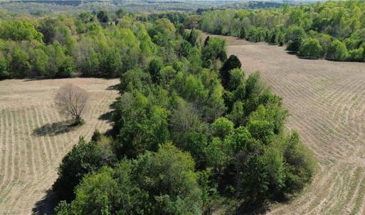 Photo #16 of 01 Riverside, Eden, NC 10.0 acres