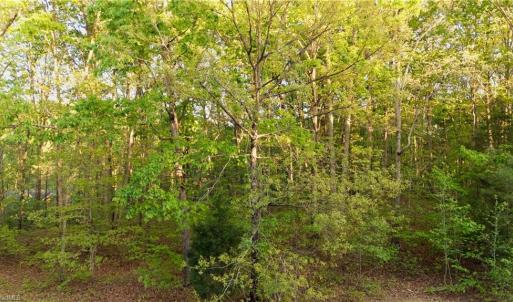 Photo #8 of 303 Healing Springs, Denton, NC 2.4 acres