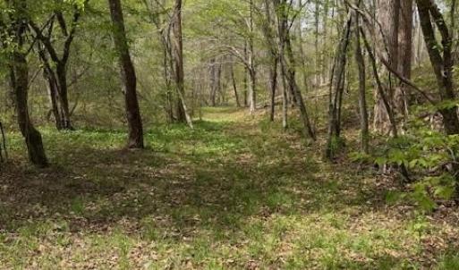 Photo #2 of 1636 Baker Crossroad, Reidsville, NC 29.5 acres