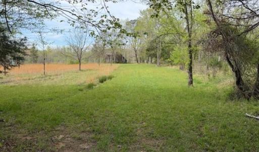 Photo #13 of 1636 Baker Crossroad, Reidsville, NC 29.5 acres