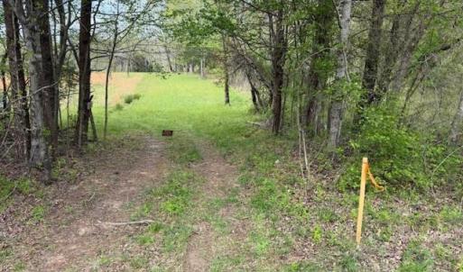 Photo #12 of 1636 Baker Crossroad, Reidsville, NC 29.5 acres
