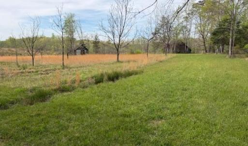 Photo #3 of 1636 Baker Crossroad, Reidsville, NC 29.5 acres