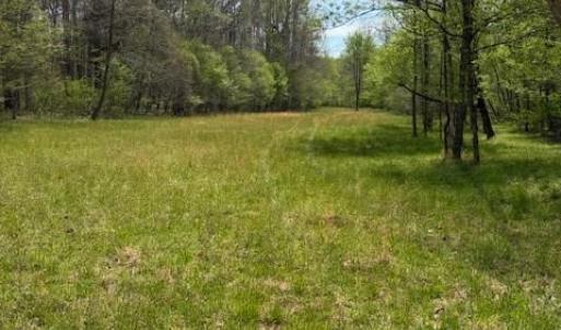 Photo #1 of 1636 Baker Crossroad, Reidsville, NC 29.5 acres