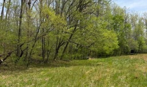 Photo #28 of 1636 Baker Crossroad, Reidsville, NC 29.5 acres