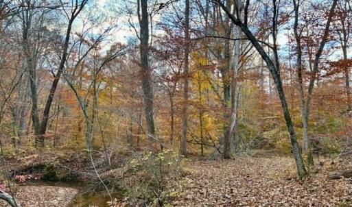 Photo #20 of 1636 Baker Crossroad, Reidsville, NC 29.5 acres