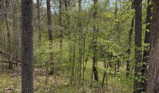 Photo #24 of 1636 Baker Crossroad, Reidsville, NC 29.5 acres