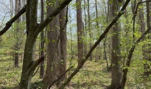 Photo #10 of 1636 Baker Crossroad, Reidsville, NC 29.5 acres