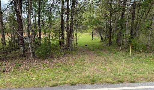 Photo #11 of 1636 Baker Crossroad, Reidsville, NC 29.5 acres