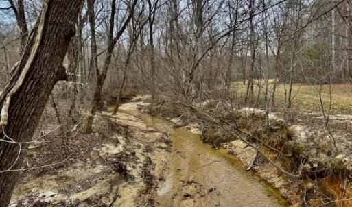 Photo #4 of 1636 Baker Crossroad, Reidsville, NC 29.5 acres