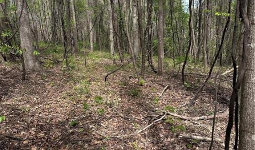 Photo #1 of Will Boone, Mocksville, NC 2.5 acres