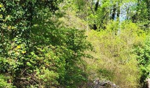 Photo #27 of 1642 R2 Kersey Valley, Archdale, NC 1.8 acres
