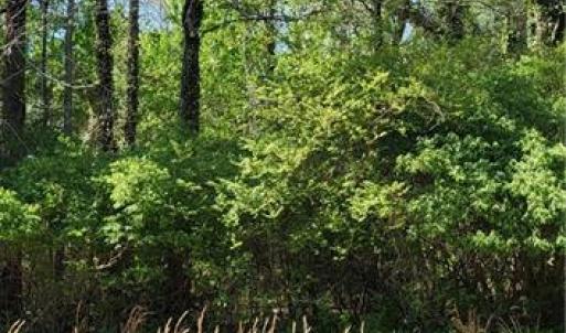 Photo #2 of 1642 R2 Kersey Valley, Archdale, NC 1.8 acres