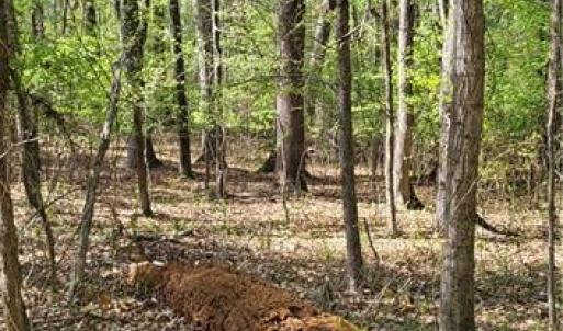 Photo #6 of 1642 R2 Kersey Valley, Archdale, NC 1.8 acres