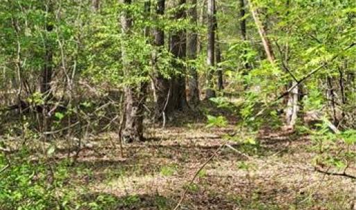 Photo #13 of 1642 R2 Kersey Valley, Archdale, NC 1.8 acres