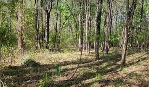 Photo #16 of 1642 R2 Kersey Valley, Archdale, NC 1.8 acres