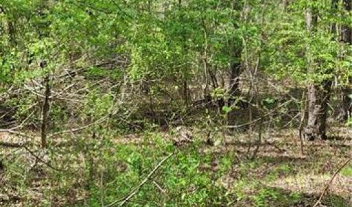 Photo #12 of 1642 R2 Kersey Valley, Archdale, NC 1.8 acres