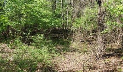 Photo #22 of 1642 R2 Kersey Valley, Archdale, NC 1.8 acres