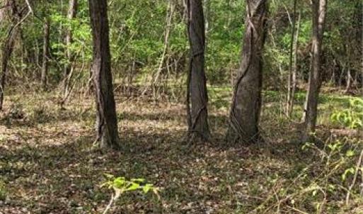Photo #7 of 1642 R2 Kersey Valley, Archdale, NC 1.8 acres