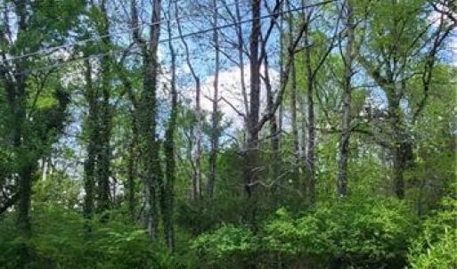 Photo #32 of 1642 R2 Kersey Valley, Archdale, NC 1.8 acres