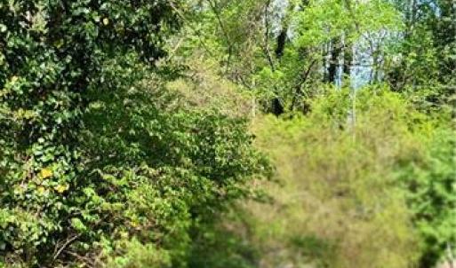 Photo #28 of 1642 R2 Kersey Valley, Archdale, NC 1.8 acres