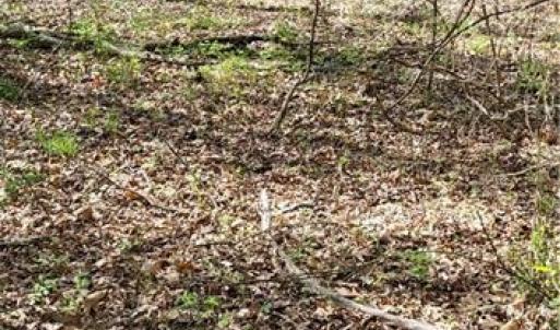 Photo #9 of 1642 R2 Kersey Valley, Archdale, NC 1.8 acres