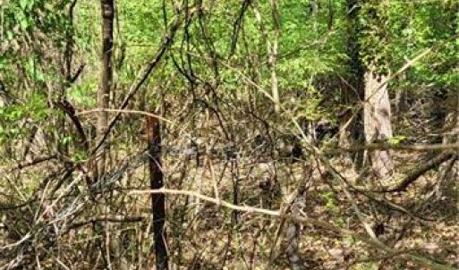 Photo #24 of 1642 R2 Kersey Valley, Archdale, NC 1.8 acres