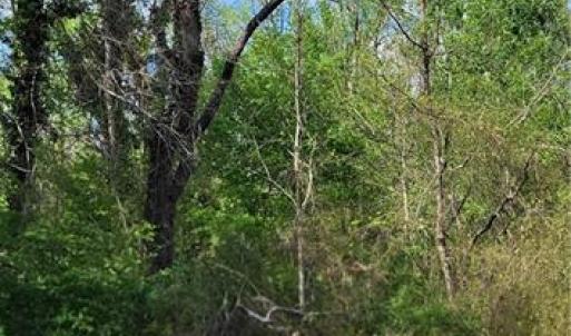 Photo #30 of 1642 R2 Kersey Valley, Archdale, NC 1.8 acres