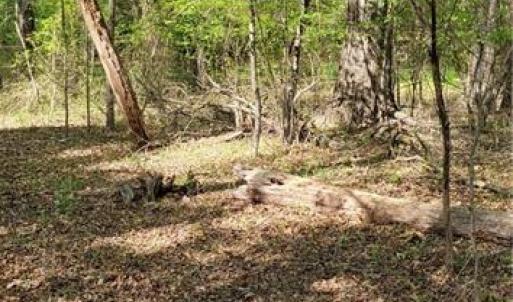 Photo #10 of 1642 R2 Kersey Valley, Archdale, NC 1.8 acres