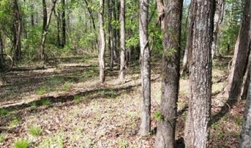 Photo #14 of 1642 R2 Kersey Valley, Archdale, NC 1.8 acres