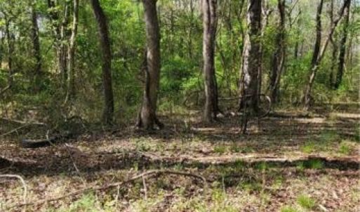 Photo #15 of 1642 R2 Kersey Valley, Archdale, NC 1.8 acres