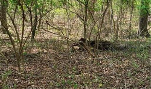 Photo #11 of 1642 R2 Kersey Valley, Archdale, NC 1.8 acres
