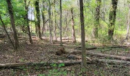Photo #19 of 1642 R2 Kersey Valley, Archdale, NC 1.8 acres