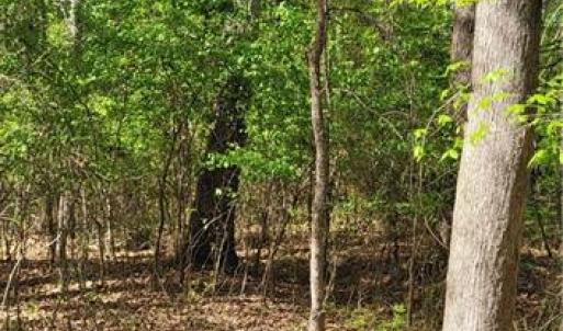 Photo #4 of 1642 R2 Kersey Valley, Archdale, NC 1.8 acres