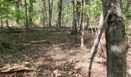 Photo #21 of 1642 R2 Kersey Valley, Archdale, NC 1.8 acres