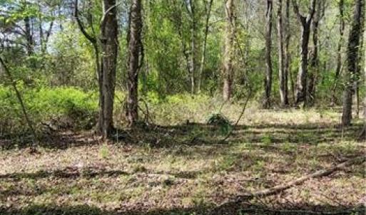 Photo #17 of 1642 R2 Kersey Valley, Archdale, NC 1.8 acres