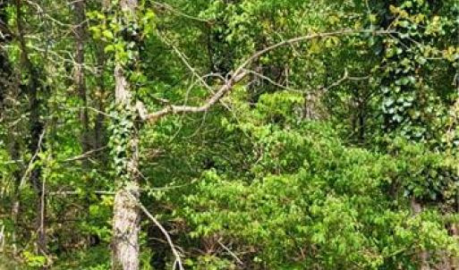 Photo #26 of 1642 R2 Kersey Valley, Archdale, NC 1.8 acres