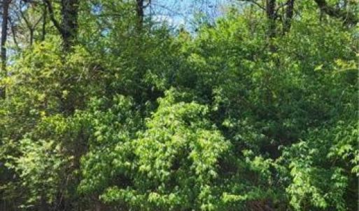 Photo #3 of 1642 R2 Kersey Valley, Archdale, NC 1.8 acres