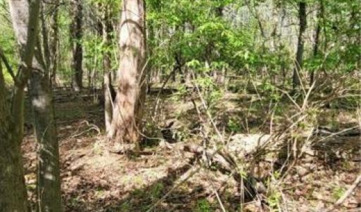 Photo #1 of 1642 R2 Kersey Valley, Archdale, NC 1.8 acres
