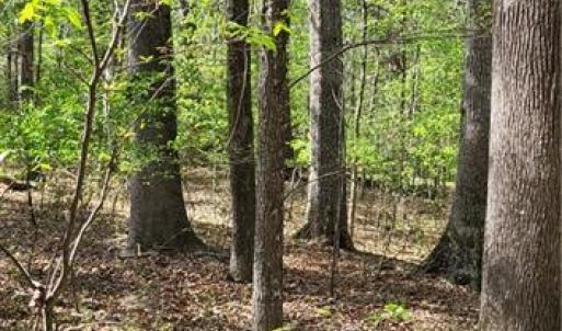 Photo #5 of 1642 R2 Kersey Valley, Archdale, NC 1.8 acres