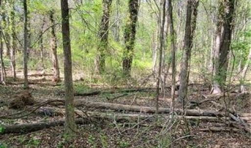 Photo #20 of 1642 R2 Kersey Valley, Archdale, NC 1.8 acres