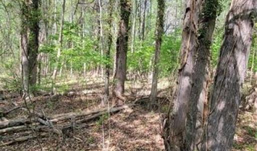 Photo #18 of 1642 R2 Kersey Valley, Archdale, NC 1.8 acres